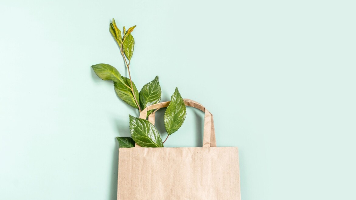 5 puntos que subrayan la importancia de las bolsas de papel para frenar el cambio climático y promover la sostenibilidad ambiental