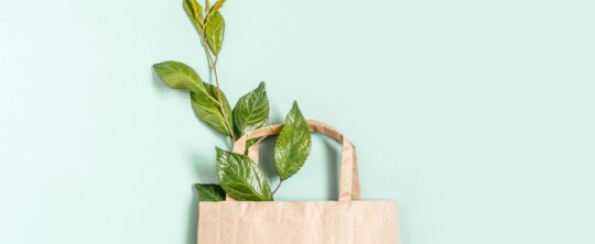 5 puntos que subrayan la importancia de las bolsas de papel para frenar el cambio climático y promover la sostenibilidad ambiental