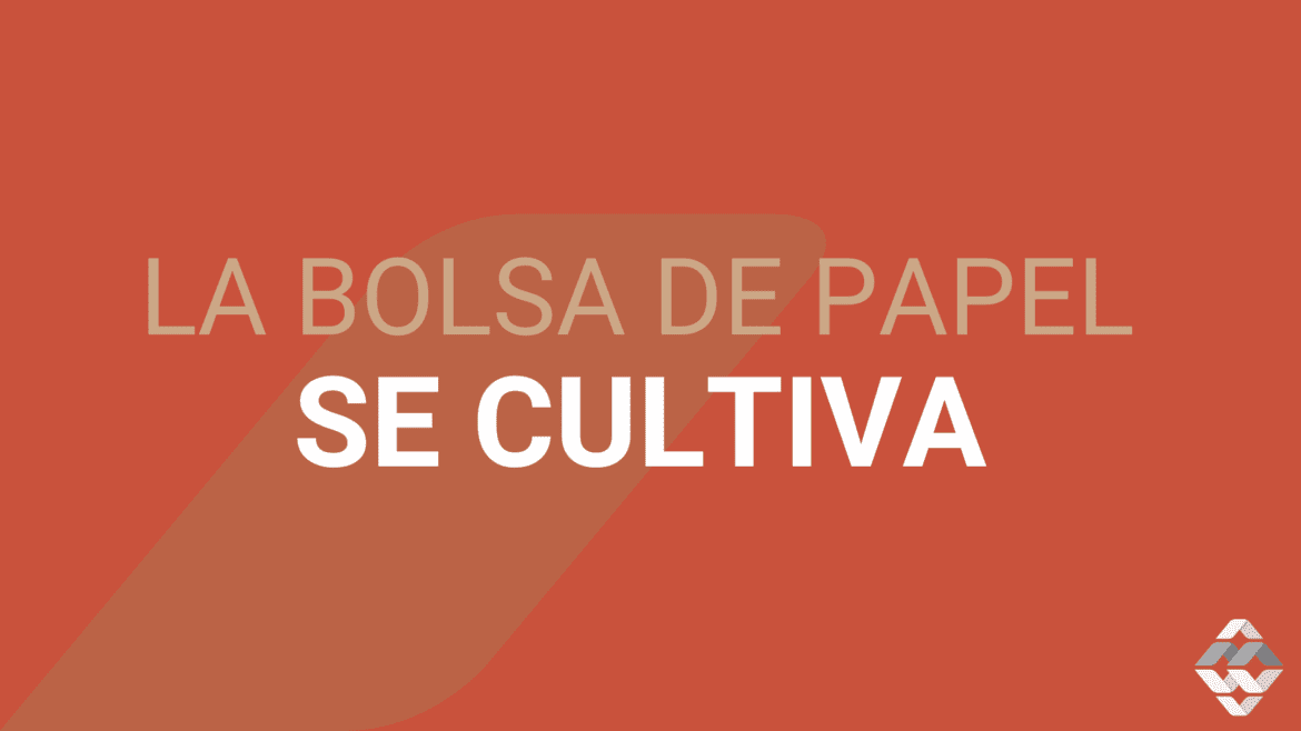 Todos tenemos un papel: la bolsa de papel se cultiva