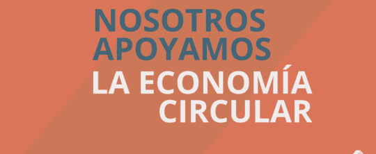 La economía circular y la bolsa de papel: beneficios e importancia para la sostenibilidad del planeta