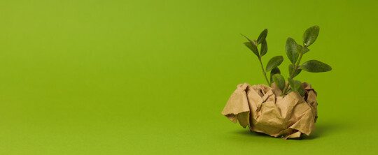 De la compra hasta el reciclaje: bolsas de papel sostenibles